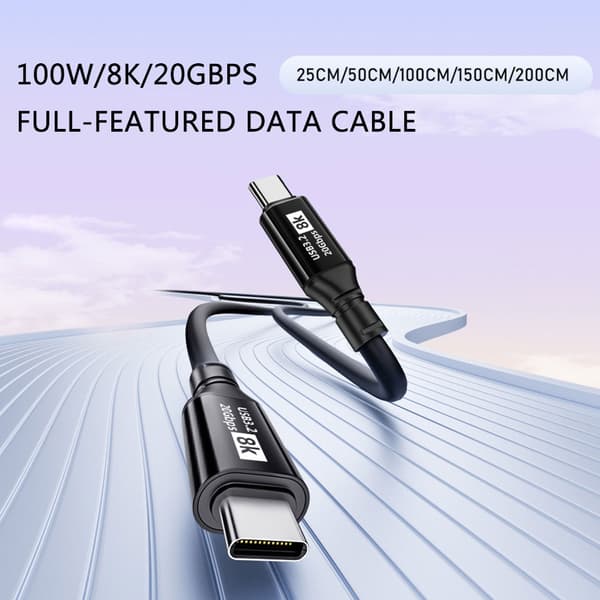 Højhastigheds USB C Opladerkabel Ledning 100W Strømforsyning 20Gbps Dataoverførsel 25cm