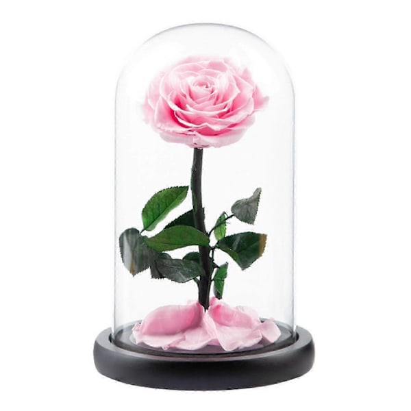 Evig Ros i Glaskupa Romantisk Estetisk Konstgjord Evig Rosblomma i Glaskupa Present Mal Pink
