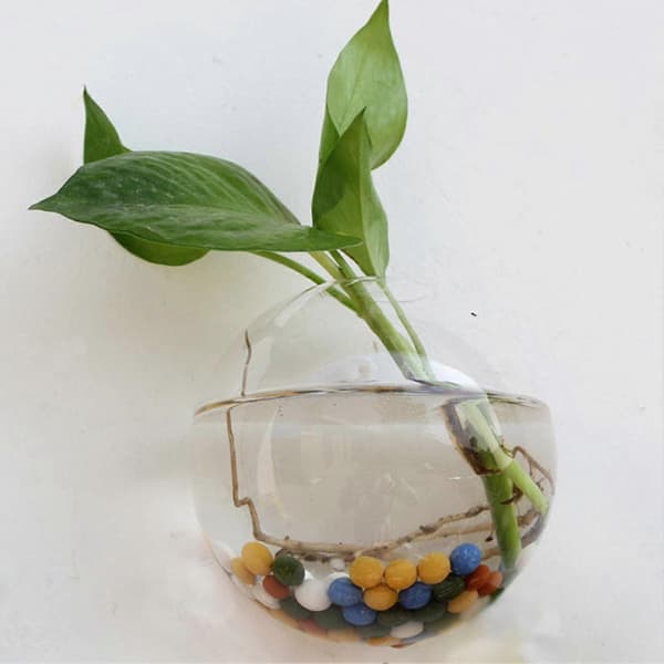 Väggmonterad Glasblomvas Transparent Design Halvrund Vas För Hemmakontor Vardagsrum 12cm