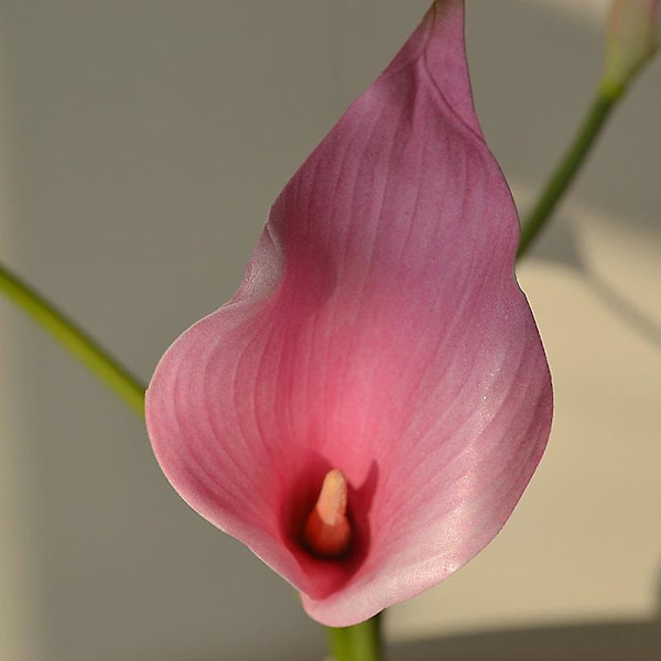 5 stk. Kunstig Blomst Almindelig Calla Føles Virkelig Kunstige Blomster Til Stue Spisebord Yellow