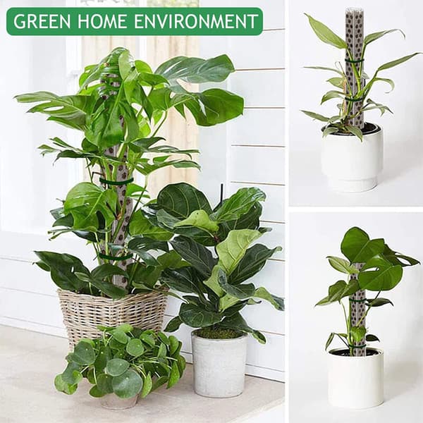 4 stablebare mosepinner for Monstera-planter, potteplanter, vekst og klatring - Sphagnum mose-støttepinner for foreldre, venner, naboer