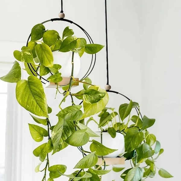 2 st Hängande Blomkrukehylla med Inomhus Hängande Blomkrukor, Balkong Dekoration, Växter, Vardagsrum, Trähylla, Hängkorg (Rund*Svart)