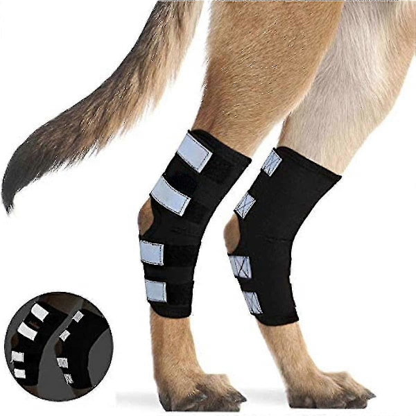 Hund Bagben Hock Støttebandage, Bag Hock Ledstøtte Med Reflekterende Sikkerhedsstropper Til Kæledyrs Sårheling, Skader, Forstuvninger Fra Gigt M