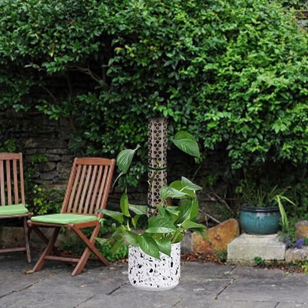 4 stablebare mosepinner for Monstera-planter, potteplanter, vekst og klatring - Sphagnum mose-støttepinner for foreldre, venner, naboer