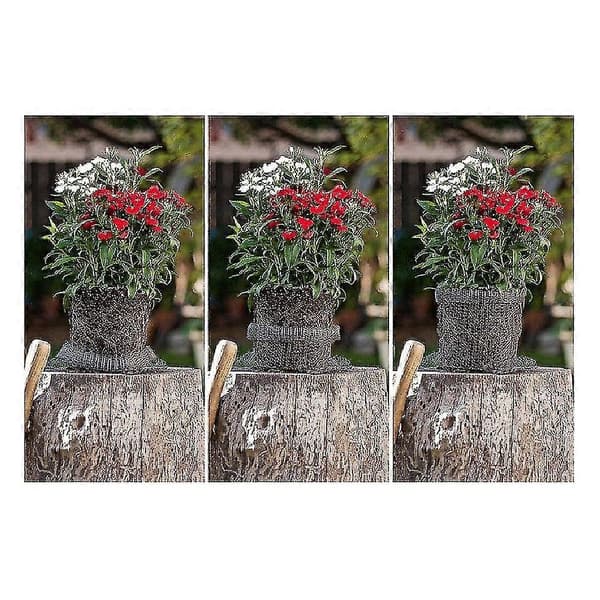 Plant Root Guard Kurver 6 stk Root Guard Wire Basket Bur Underjordisk Rustfritt Stål Wire for Planter i Hage
