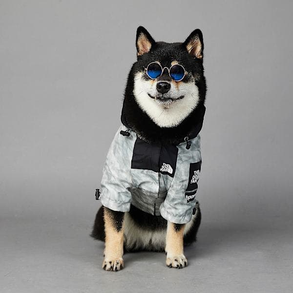 Wabjtam Hundjacka, Husdjursjacka, Hundregnjacka-l