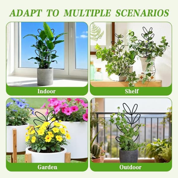 Set med 6 växtstöd för klätterväxter, lämpliga för inomhusväxter, Monstera, blommor och Hoya.