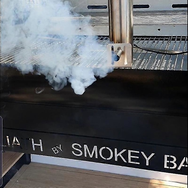 Kald Røygenerator Rustfritt Stål Størrelse L Røyker Grill For Røyking/mat Kjøtt Røykehus Premium Tilbehør Utendørs Griller Røykmaskin 110V-US Plug