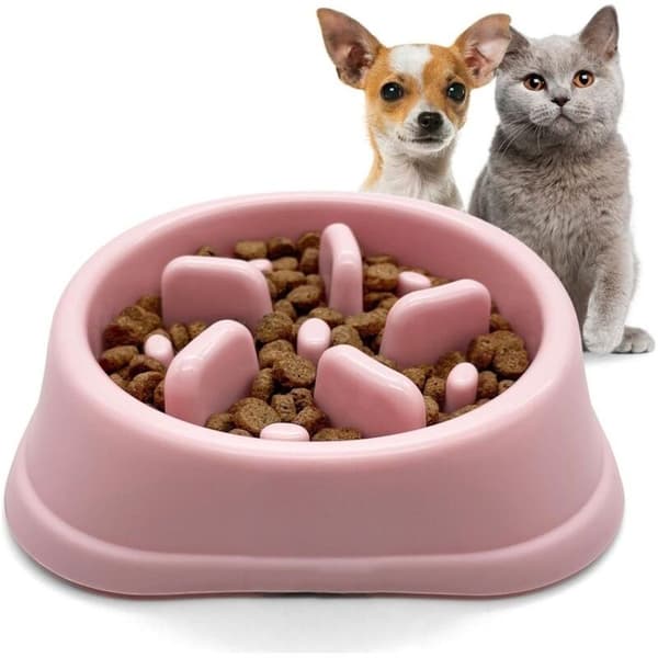 Skål til langsom fodring til katte og små hunde