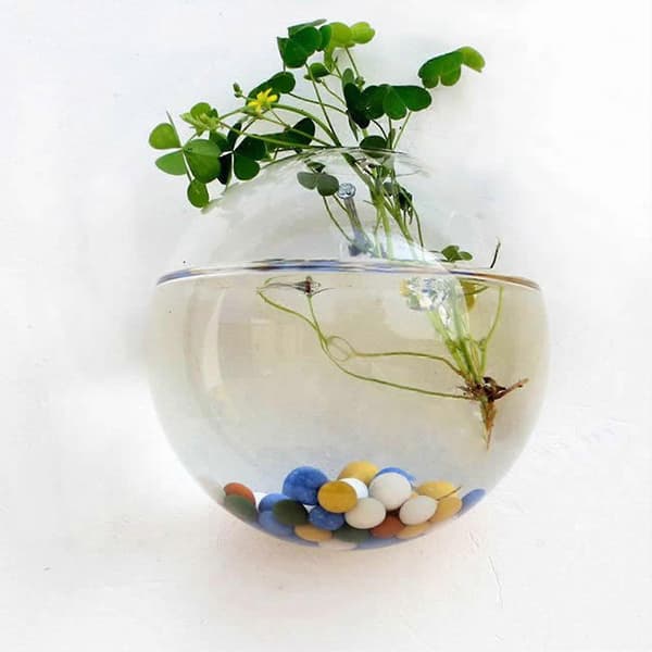 Väggmonterad Glasblomvas Transparent Design Halvrund Vas För Hemmakontor Vardagsrum 10cm