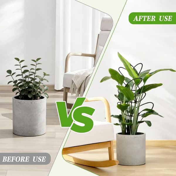 Set med 6 växtstöd för klätterväxter, lämpliga för inomhusväxter, Monstera, blommor och Hoya.