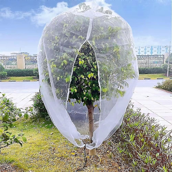 10ftx10ft Stora nätpåsar för fruktträd, fågelnät för blåbärsbuskar med