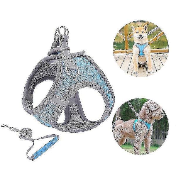 Liten Hundsele, Valpsele, Mjuk Hundsele Och Koppelsats Med En Reflexhalsband Bästa Gåvan Bästa Gåvan Blue L