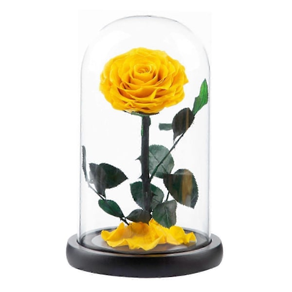 Evig Ros i Glaskupa Romantisk Estetisk Konstgjord Evig Rosblomma i Glaskupa Present Mal Yellow