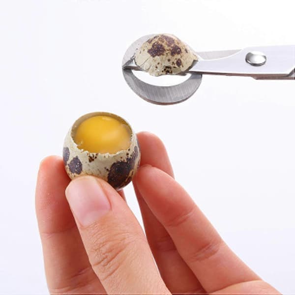 4 stk eggesaks i rustfritt stål, eggeskallkutter, vaktel egg