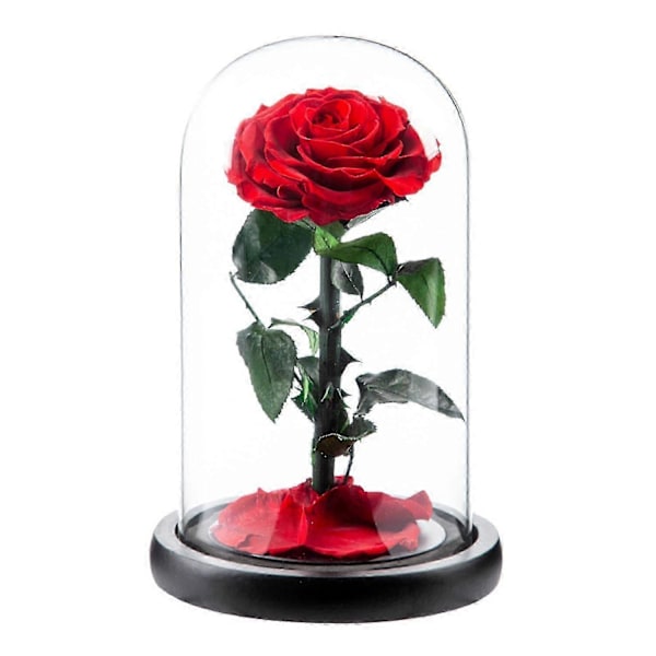 Evig Rose i Glaskuppel Romantisk Æstetisk Kunstig Evig Rose Blomst i Glaskuppel Gave Møll Red