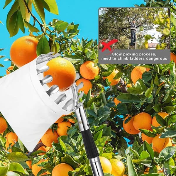 Fruktplukker 4,2 m med teleskopskaft, lett justerbar stang og fruktpose, plukker i rustfritt stål