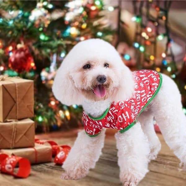 Hund julskjorta 2-pack jul husdjursskjorta style4810