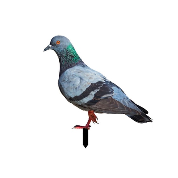 3D Kunstige Duer Havestatue Duefigur Realistisk Fuglestatue Duepynt til Bryllupsfest Haveindretning YKLU093B