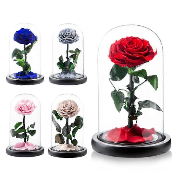 Evig Ros i Glaskupa Romantisk Estetisk Konstgjord Evig Rosblomma i Glaskupa Present Mal Multicolor