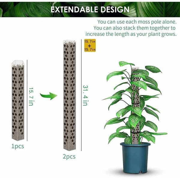 4 stablebare mosepinner for Monstera-planter, potteplanter, vekst og klatring - Sphagnum mose-støttepinner for foreldre, venner, naboer