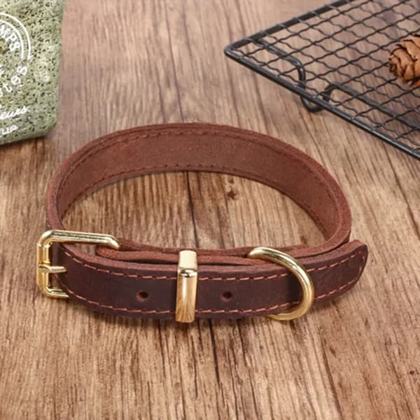 Robust polstret og justerbar hundehalsbånd i ægte læder (brun, stor til 58cm - 73cm hals)