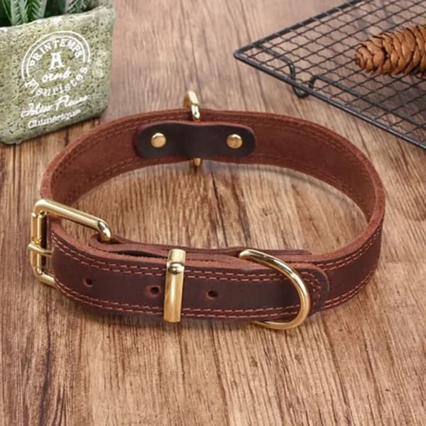 Solid polstret og justerbart hundehalsbånd i ekte skinn (brun, stor for 58cm - 73cm hals)