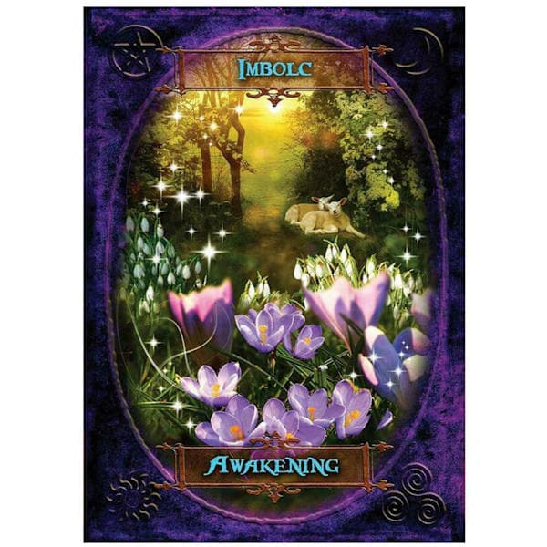 Witches Wisdom Oracle Cards Et sett med 47 kort - spottsalg
