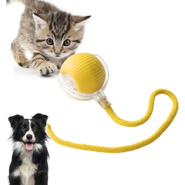 PurrfectFun Interaktiv Kattebold med Reb