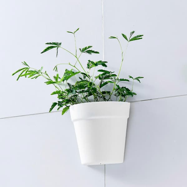 Veggmontert blomsterpotte, halvsirkelformet plast plantekasse Light Grey