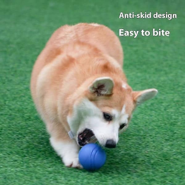 MEIANJU 5cm Husdjursbitresistent TPR Studsboll Hund Interaktiv Träningsleksak - Blå Multicolor Green