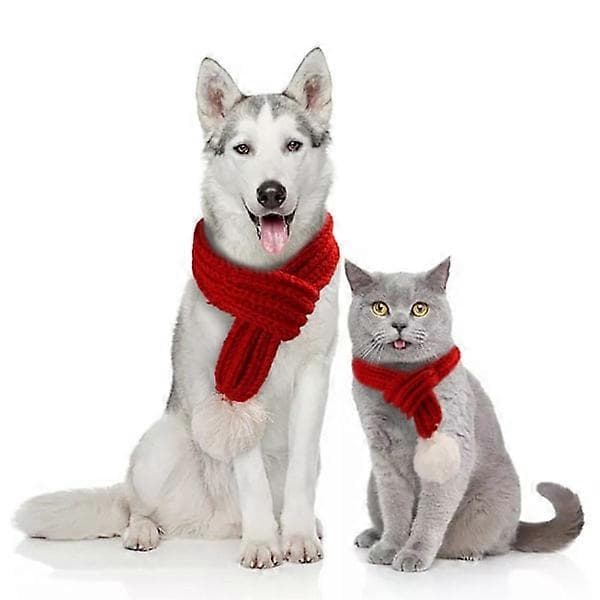 Hund Juldräkt Julhalsduk Stor Röd Djurhalsduk Djur Röd