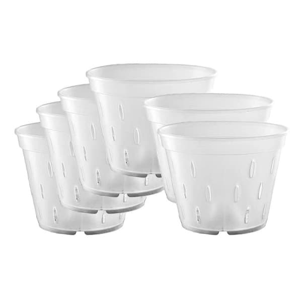 5 st 5 tums plast orkidé blomkruka transparent orkidé