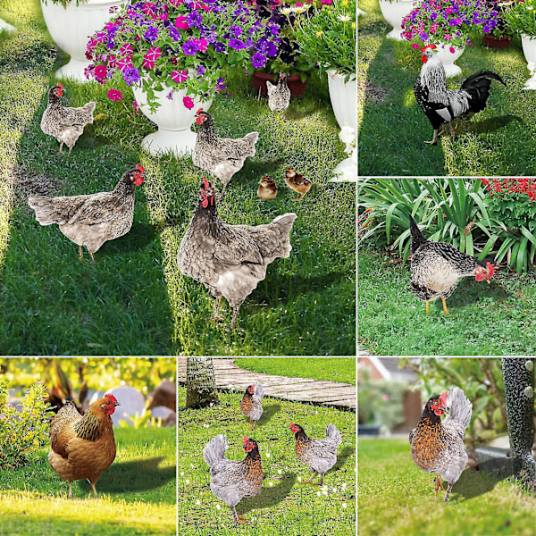 Hane Dekor Realistisk Livaktig Ornament Dobbeltsidig Trykk Akryl Hage Statue Kylling For Hage-hy C