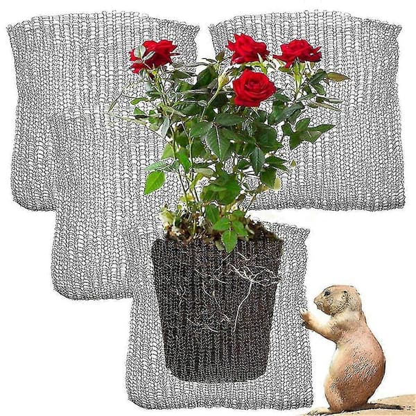 Plant Root Guard Kurver 6 stk Root Guard Wire Basket Bur Underjordisk Rustfritt Stål Wire for Planter i Hage
