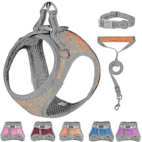 Liten Hundsele, Valpsele, Mjuk Hundsele Och Koppelsats Med En Reflexhalsband Bästa Gåvan Bästa Gåvan Red M