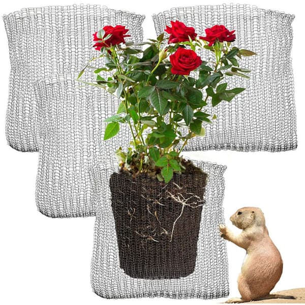 Set med 4 rotkorgar i rostfritt stål, 35x35 CM, gnagarskyddsnät, musfällor i rostfritt stål, rotskydd för växter