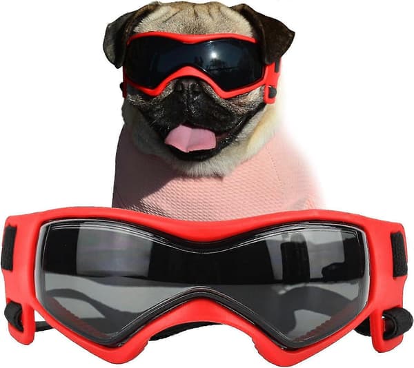 Hundebriller til små hunderacer, nemme at bære UV-solbriller til hunde til små/mellemstore hundehvalpe Red