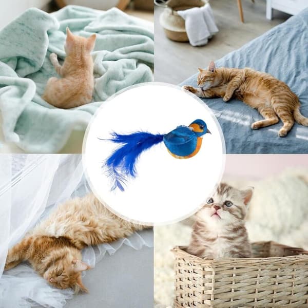 Fuglelegetøj til katte, interaktivt kattelegetøj, interaktivt legetøj til hunde og katte, flyvende fugl til katte