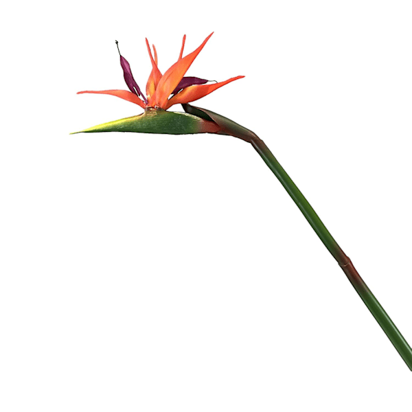 Konstgjord Blomma Livsliknande Paradisfågel Non-fading Och Lågt Underhåll Heminredning Red