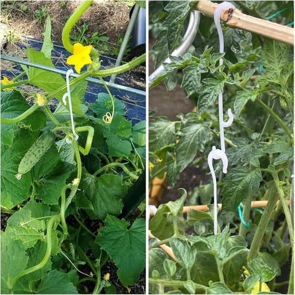 100 stycken tomatklämmor, 13 cm tomatskrokar, tomatstödskrokar, tomatstödsklämmor