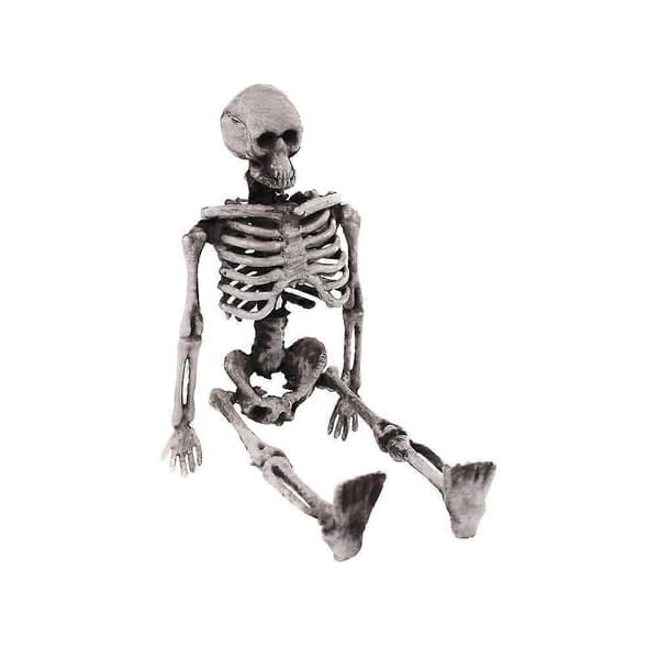 2025 Simulerad Skelett Rekvisita Halloween Skelett Liten Människokropp Benmodell