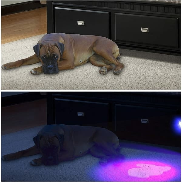 UV Lommelygte 100 Ultra Violet LED Sort