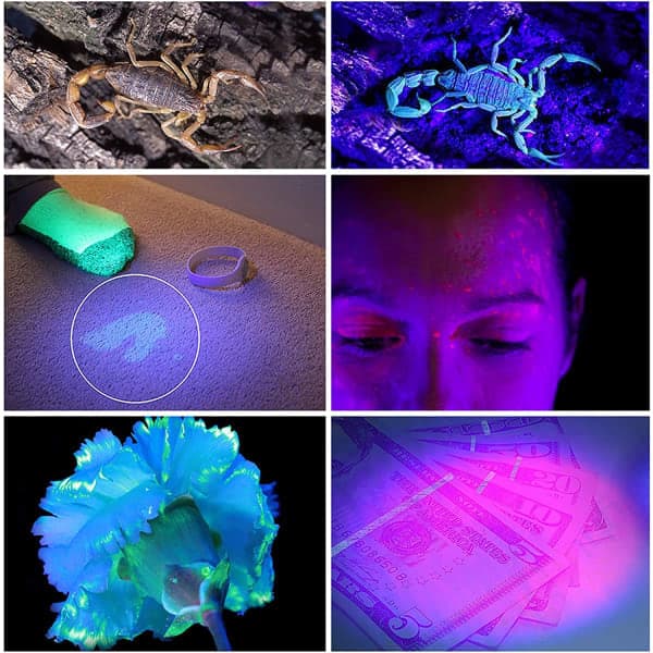 UV Lommelykt 100 Ultra Violet LED Svart