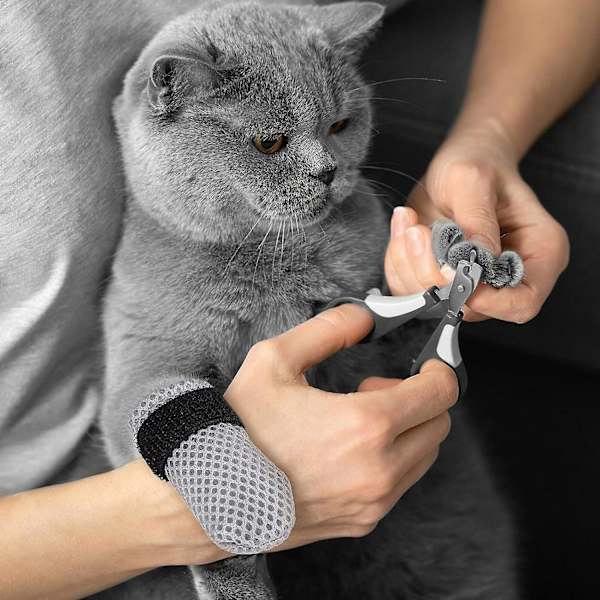 Klorfria skor för katter - Justerbara katt-skor för klösande Polyester katt-tasskydd Katt halkfria strumpor