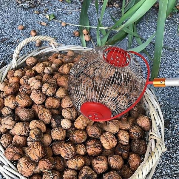 Nötsamlare Ekollonplockare - Sidöppning Valnötsplockare Rulle Kotteplockare Plockare Samlare Bollplockare För Valnötter Pekannötter C S