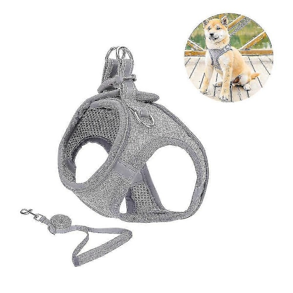 Liten Hundsele, Valpsele, Mjuk Hundsele Och Koppelsats Med En Reflexhalsband Bästa Gåvan Bästa Gåvan Grey XS