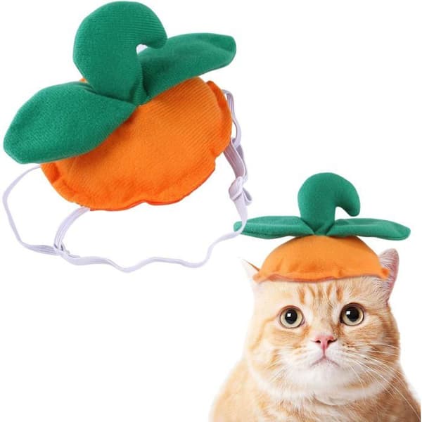 1 stk. Halloween-kostumetilbehør til kæledyr: tilbehør til hunde, passer til hunde (orange).