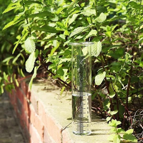 2 stk Regnmåler Regnmålingsverktøy Glassrør 21cm/8 tommer
