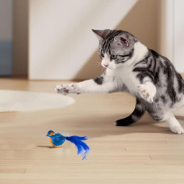 Fuglelegetøj til katte, interaktivt kattelegetøj, interaktivt legetøj til hunde og katte, flyvende fugl til katte